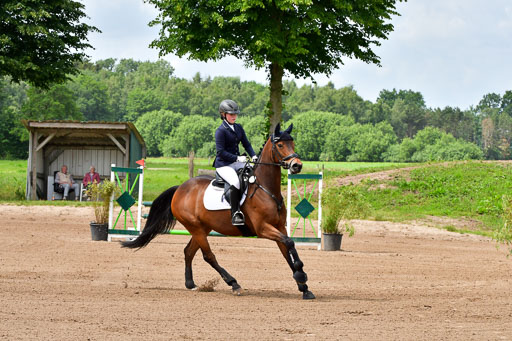 Goldene Schärpe PFerde  in Löningen  11+12.6.22 | 22062022 Springen 2 Abt _016 