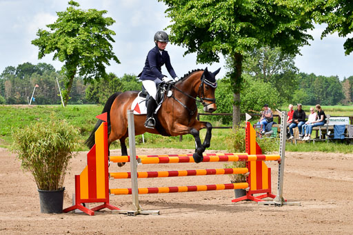 Goldene Schärpe PFerde  in Löningen  11+12.6.22 | 22062022 Springen 2 Abt _017 