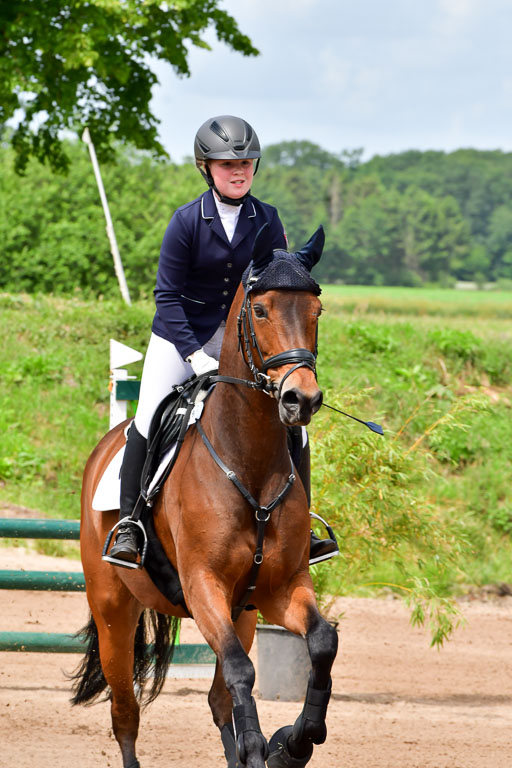 Goldene Schärpe PFerde  in Löningen  11+12.6.22 | 22062022 Springen 2 Abt _019 