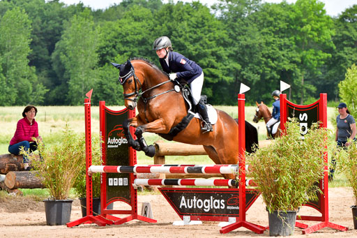 Goldene Schärpe PFerde  in Löningen  11+12.6.22 | 22062022 Springen 2 Abt _021 