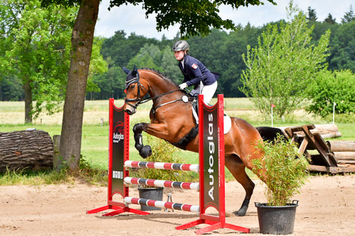 Goldene Schärpe PFerde  in Löningen  11+12.6.22 | 22062022 Springen 2 Abt _022 