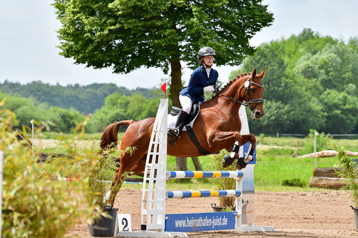 Goldene Schärpe PFerde  in Löningen  11+12.6.22 | 22062022 Springen 2 Abt _024 