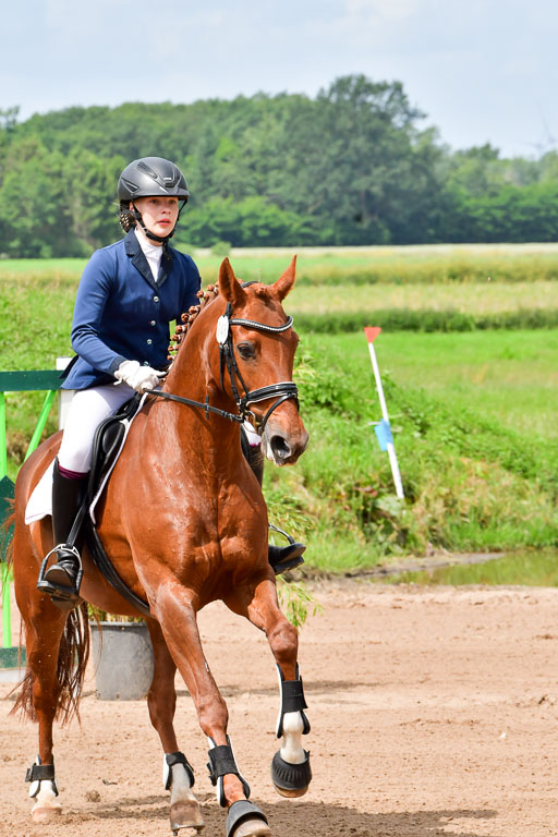 Goldene Schärpe PFerde  in Löningen  11+12.6.22 | 22062022 Springen 2 Abt _028 