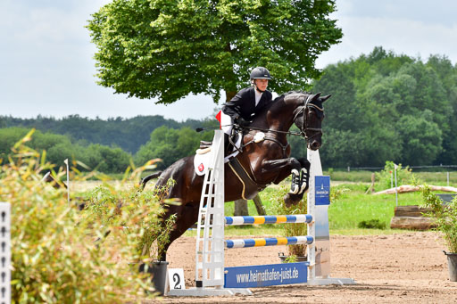 Goldene Schärpe PFerde  in Löningen  11+12.6.22 | 22062022 Springen 2 Abt _033 