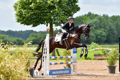 Goldene Schärpe PFerde  in Löningen  11+12.6.22 | 22062022 Springen 2 Abt _034 
