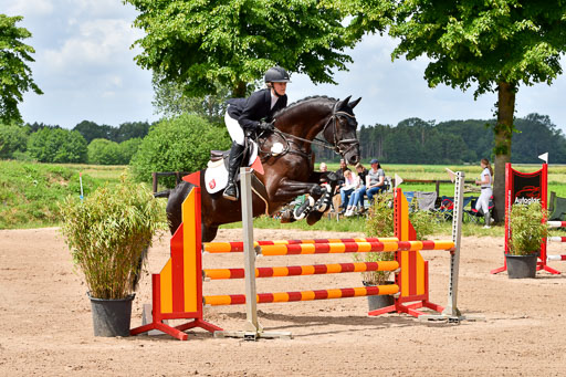 Goldene Schärpe PFerde  in Löningen  11+12.6.22 | 22062022 Springen 2 Abt _035 