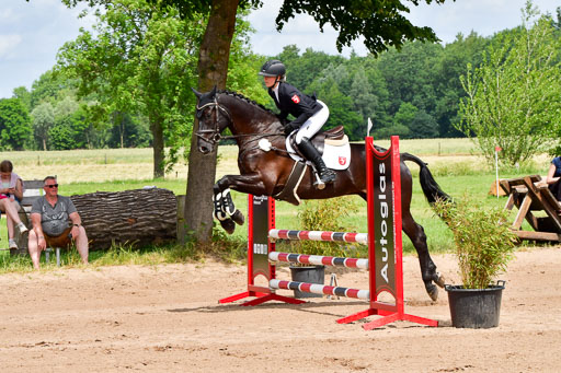 Goldene Schärpe PFerde  in Löningen  11+12.6.22 | 22062022 Springen 2 Abt _043 
