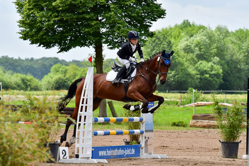 Goldene Schärpe PFerde  in Löningen  11+12.6.22 | 22062022 Springen 2 Abt _046 