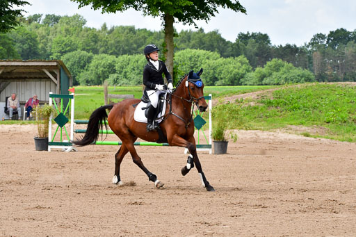 Goldene Schärpe PFerde  in Löningen  11+12.6.22 | 22062022 Springen 2 Abt _047 
