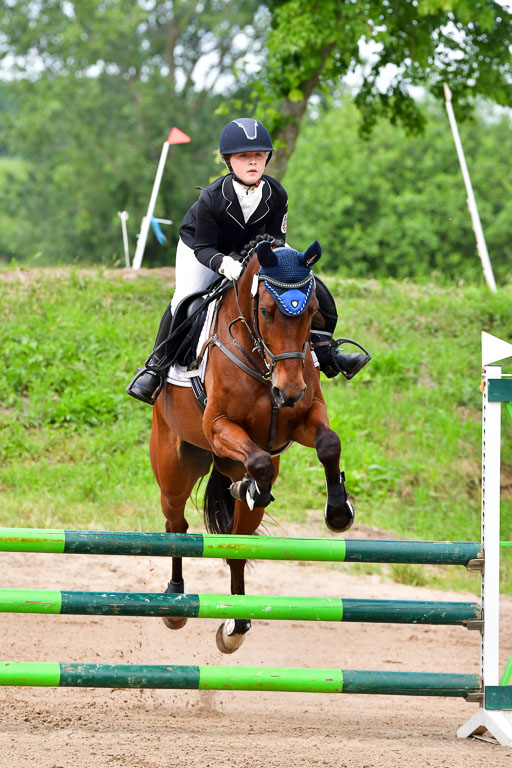 Goldene Schärpe PFerde  in Löningen  11+12.6.22 | 22062022 Springen 2 Abt _049 
