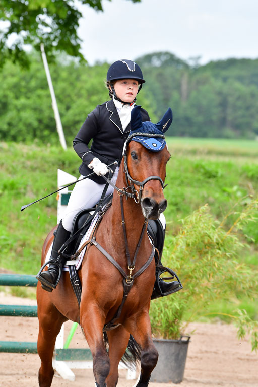 Goldene Schärpe PFerde  in Löningen  11+12.6.22 | 22062022 Springen 2 Abt _051 
