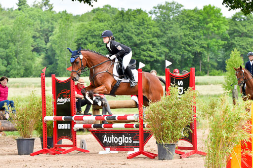 Goldene Schärpe PFerde  in Löningen  11+12.6.22 | 22062022 Springen 2 Abt _053 