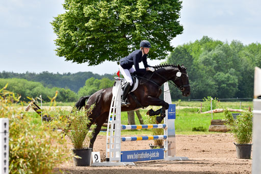 Goldene Schärpe PFerde  in Löningen  11+12.6.22 | 22062022 Springen 2 Abt _063 