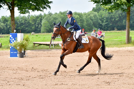 Goldene Schärpe PFerde  in Löningen  11+12.6.22 | 22062022 Springen 2 Abt _070 