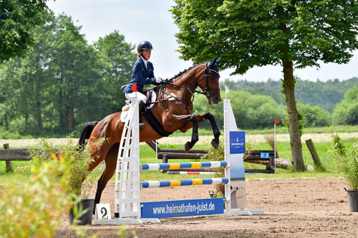 Goldene Schärpe PFerde  in Löningen  11+12.6.22 | 22062022 Springen 2 Abt _071 