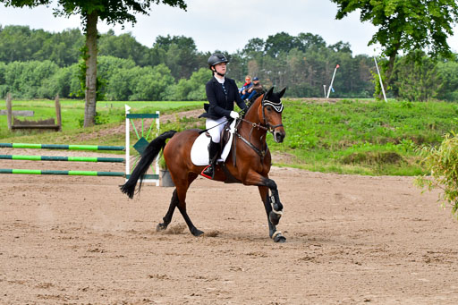 Goldene Schärpe PFerde  in Löningen  11+12.6.22 | 22062022 Springen 2 Abt _078 