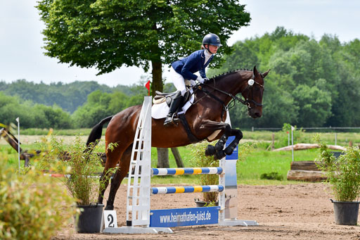 Goldene Schärpe PFerde  in Löningen  11+12.6.22 | 22062022 Springen 2 Abt _086 