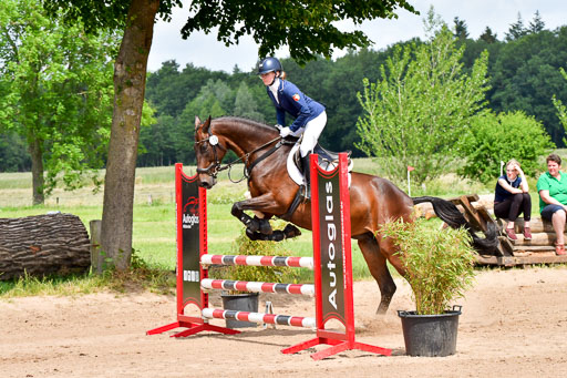 Goldene Schärpe PFerde  in Löningen  11+12.6.22 | 22062022 Springen 2 Abt _091 
