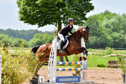Goldene Schärpe PFerde  in Löningen  11+12.6.22 | 22062022 Springen 2 Abt _094 