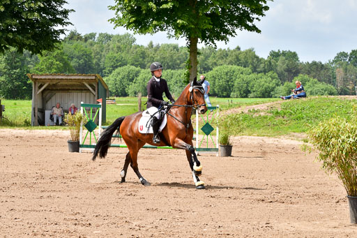 Goldene Schärpe PFerde  in Löningen  11+12.6.22 | 22062022 Springen 2 Abt _095 