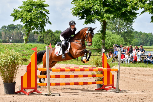 Goldene Schärpe PFerde  in Löningen  11+12.6.22 | 22062022 Springen 2 Abt _096 