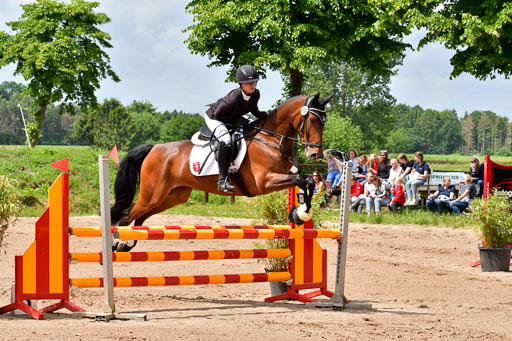 Goldene Schärpe PFerde  in Löningen  11+12.6.22 | 22062022 Springen 2 Abt _097 