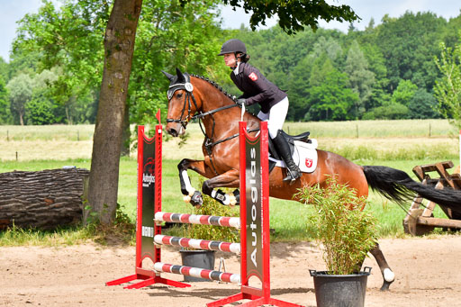 Goldene Schärpe PFerde  in Löningen  11+12.6.22 | 22062022 Springen 2 Abt _101 