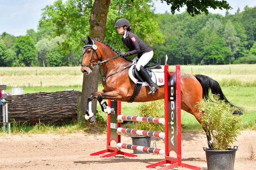 Goldene Schärpe PFerde  in Löningen  11+12.6.22 | 22062022 Springen 2 Abt _102 