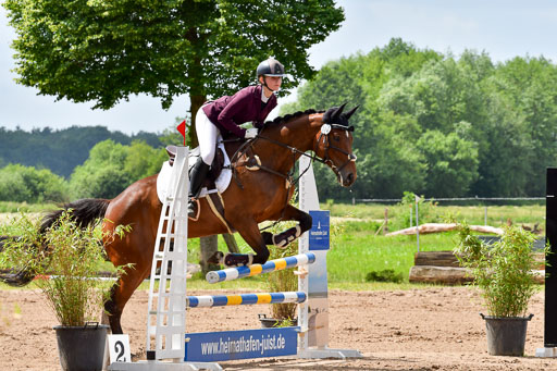 Goldene Schärpe PFerde  in Löningen  11+12.6.22 | 22062022 Springen 2 Abt _104 