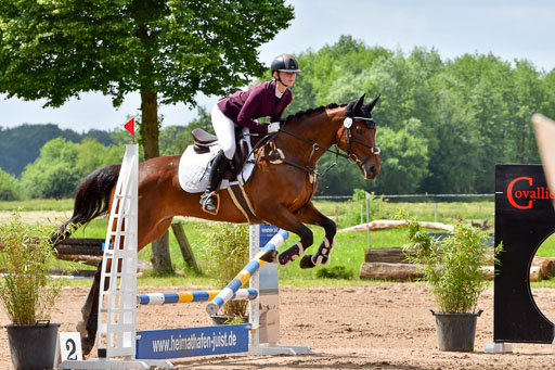 Goldene Schärpe PFerde  in Löningen  11+12.6.22 | 22062022 Springen 2 Abt _105 