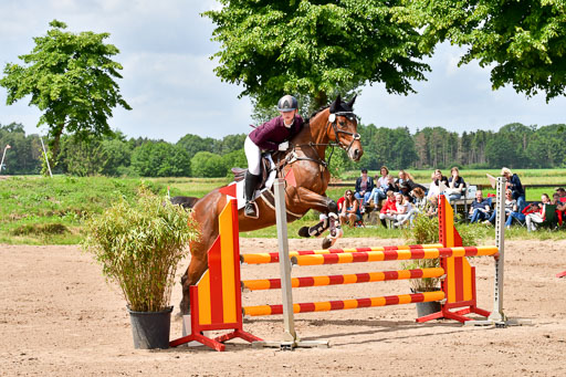 Goldene Schärpe PFerde  in Löningen  11+12.6.22 | 22062022 Springen 2 Abt _106 