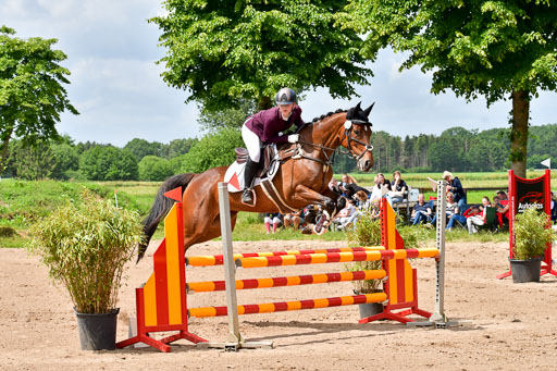 Goldene Schärpe PFerde  in Löningen  11+12.6.22 | 22062022 Springen 2 Abt _107 