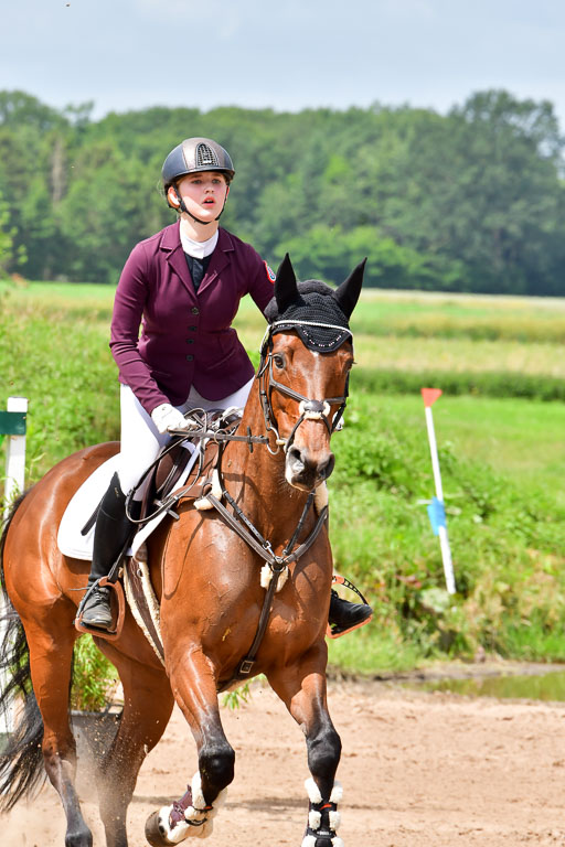 Goldene Schärpe PFerde  in Löningen  11+12.6.22 | 22062022 Springen 2 Abt _111 