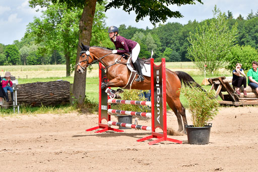 Goldene Schärpe PFerde  in Löningen  11+12.6.22 | 22062022 Springen 2 Abt _113 