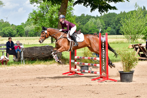 Goldene Schärpe PFerde  in Löningen  11+12.6.22 | 22062022 Springen 2 Abt _114 