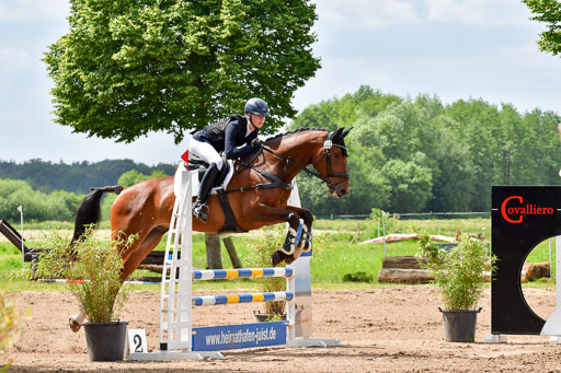 Goldene Schärpe PFerde  in Löningen  11+12.6.22 | 22062022 Springen 2 Abt _116 