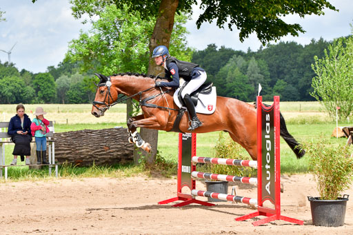 Goldene Schärpe PFerde  in Löningen  11+12.6.22 | 22062022 Springen 2 Abt _123 