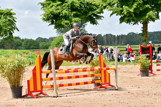 Goldene Schärpe PFerde  in Löningen  11+12.6.22 | 22062022 Springen 2 Abt _125 