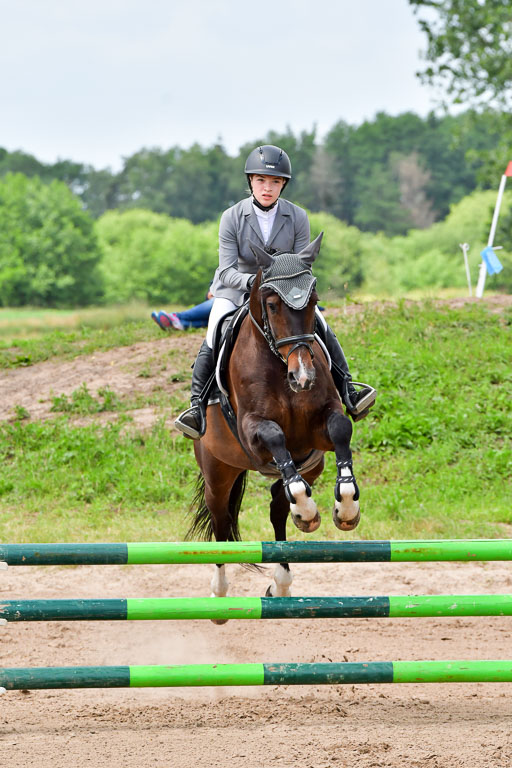 Goldene Schärpe PFerde  in Löningen  11+12.6.22 | 22062022 Springen 2 Abt _129 