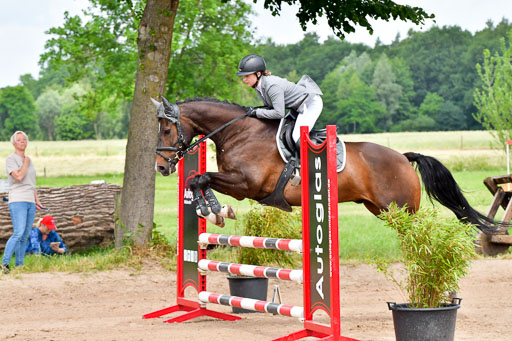 Goldene Schärpe PFerde  in Löningen  11+12.6.22 | 22062022 Springen 2 Abt _134 