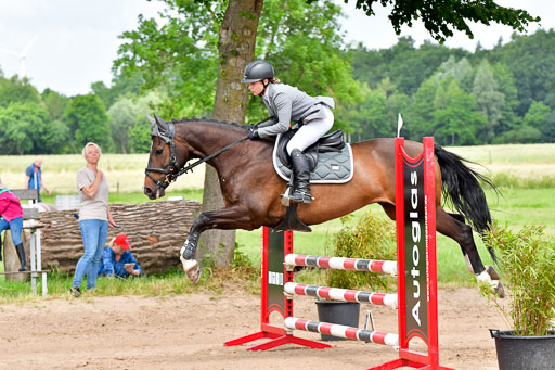 Goldene Schärpe PFerde  in Löningen  11+12.6.22 | 22062022 Springen 2 Abt _135 