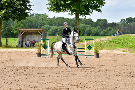 Goldene Schärpe PFerde  in Löningen  11+12.6.22 | 22062022 Springen 2 Abt _139 
