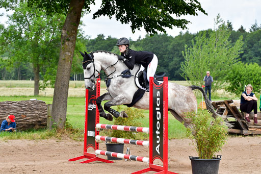 Goldene Schärpe PFerde  in Löningen  11+12.6.22 | 22062022 Springen 2 Abt _148 
