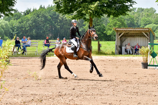 Goldene Schärpe PFerde  in Löningen  11+12.6.22 | 22062022 Springen 2 Abt _153 