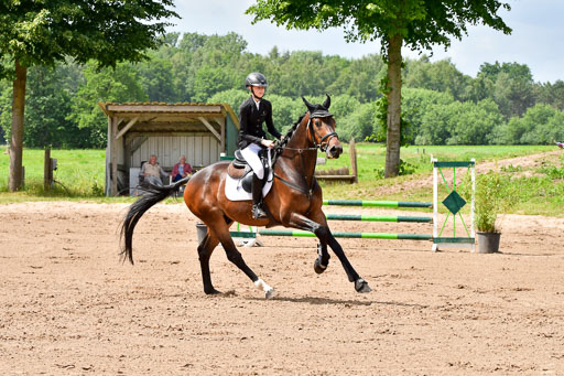 Goldene Schärpe PFerde  in Löningen  11+12.6.22 | 22062022 Springen 2 Abt _154 