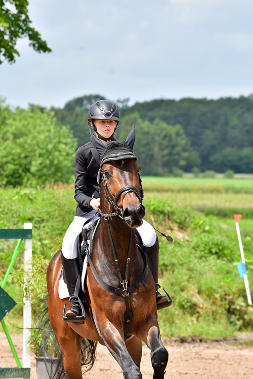 Goldene Schärpe PFerde  in Löningen  11+12.6.22 | 22062022 Springen 2 Abt _160 