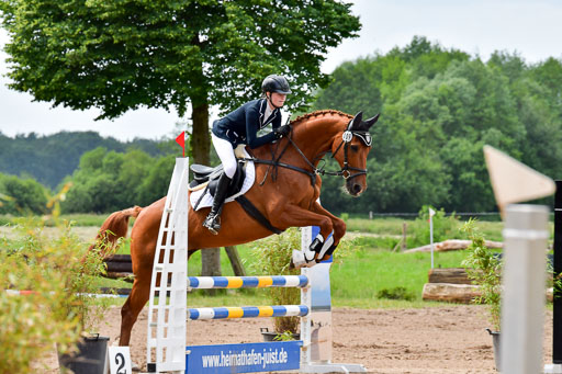 Goldene Schärpe PFerde  in Löningen  11+12.6.22 | 22062022 Springen 2 Abt _165 