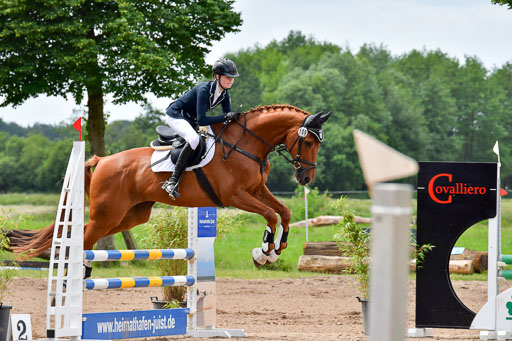 Goldene Schärpe PFerde  in Löningen  11+12.6.22 | 22062022 Springen 2 Abt _166 