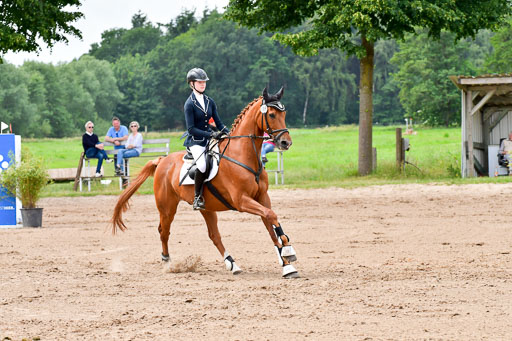 Goldene Schärpe PFerde  in Löningen  11+12.6.22 | 22062022 Springen 2 Abt _167 