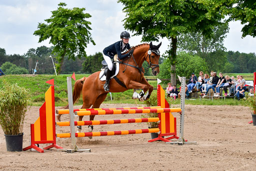 Goldene Schärpe PFerde  in Löningen  11+12.6.22 | 22062022 Springen 2 Abt _169 